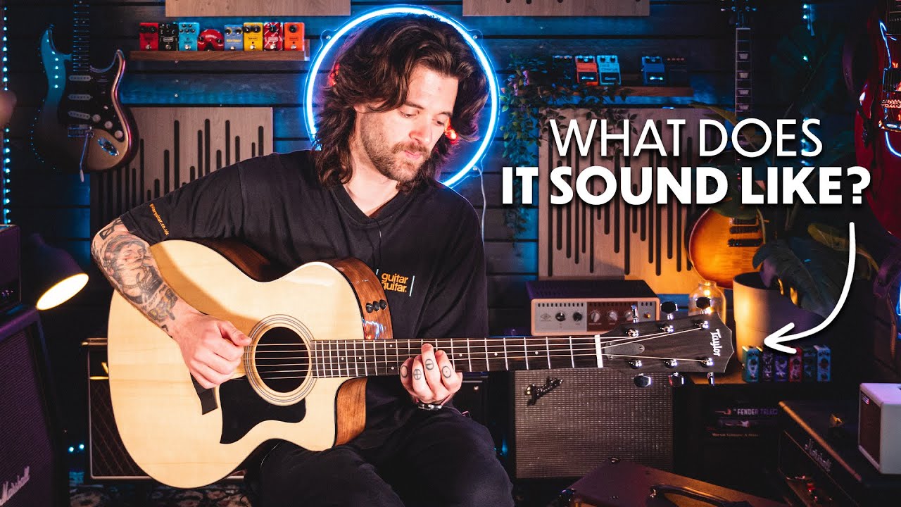 Looping With the Taylor 114ce Grand Auditorium All Gloss | No Chat, Just Sounds
