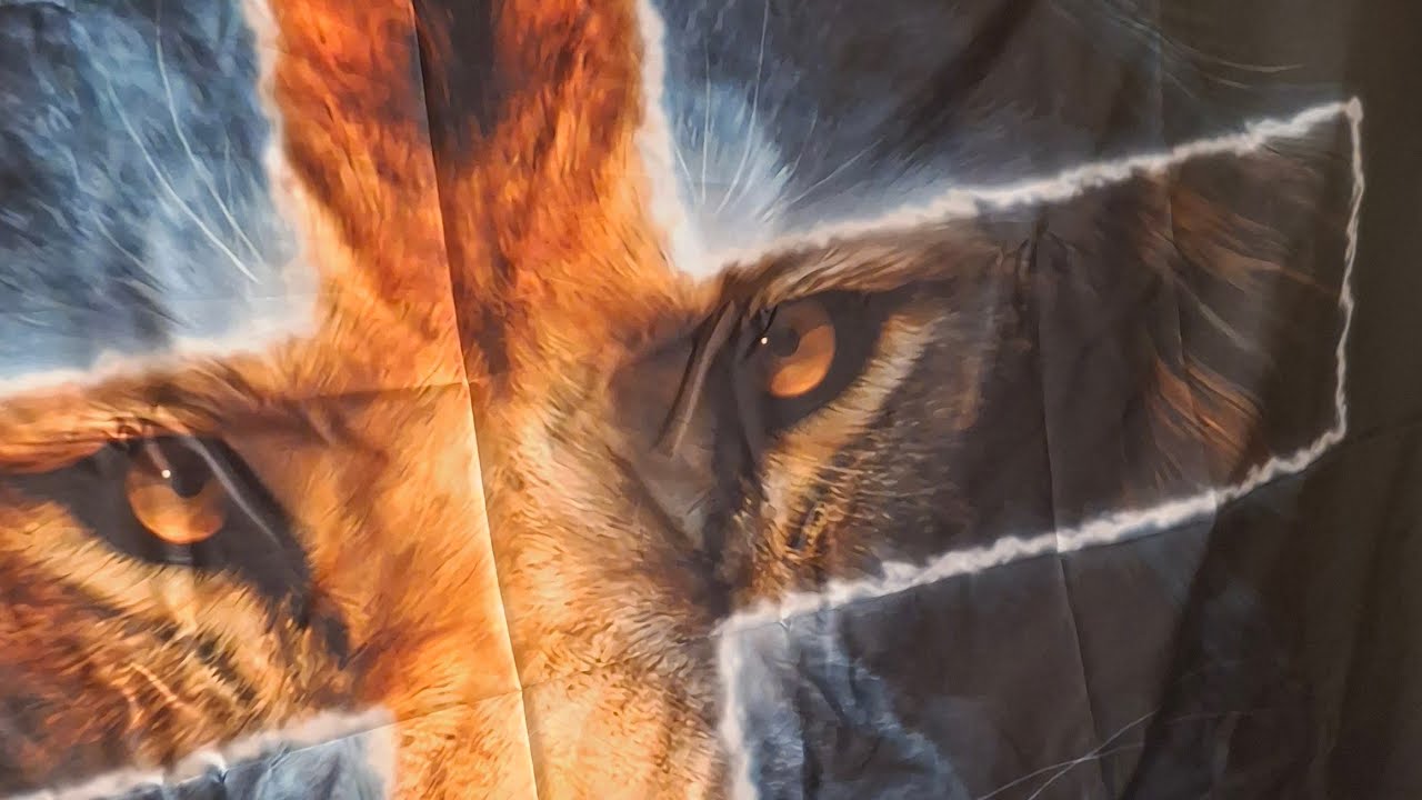 MICHAEL was live!  THE316WAY delivers the epic battle story of DAVID AND GOLIATH