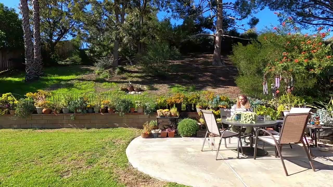 Tea Time With Chayu Ep. 004