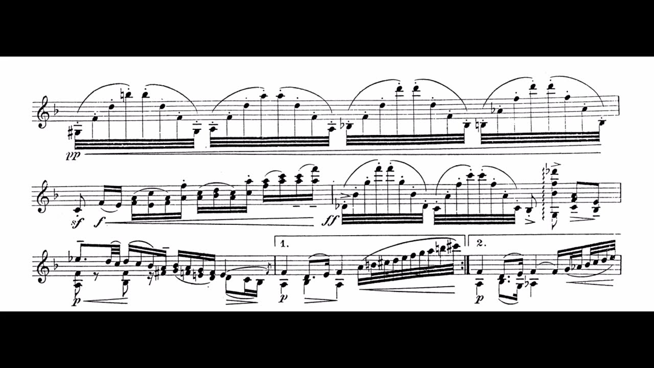 Max Reger - Vier Violinsonaten op. 42 [Score Video]