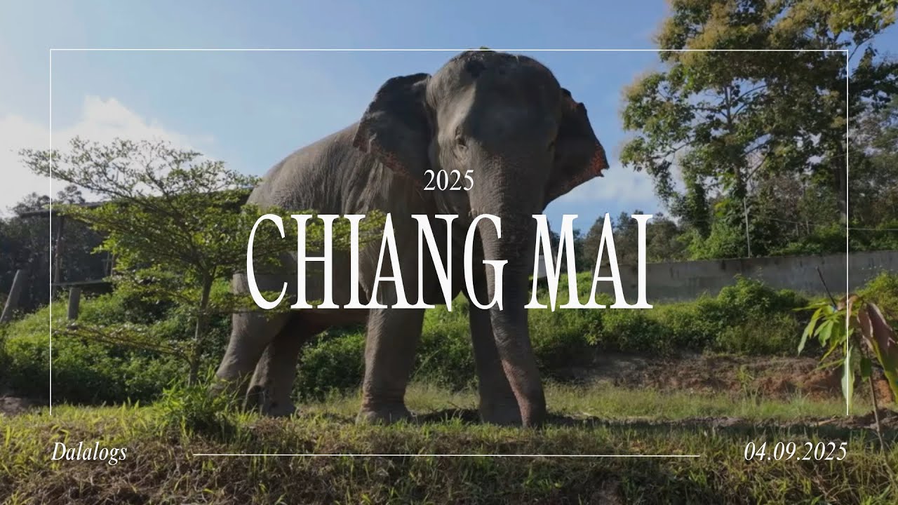 Thailand Backpacking Trip Teil 2: Chiang Mai 🪲🐘🎍☀️
