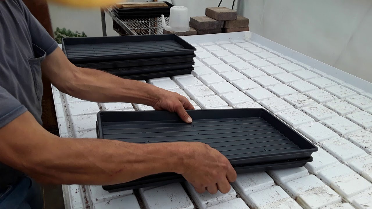 Seeding and Stacking Microgreens