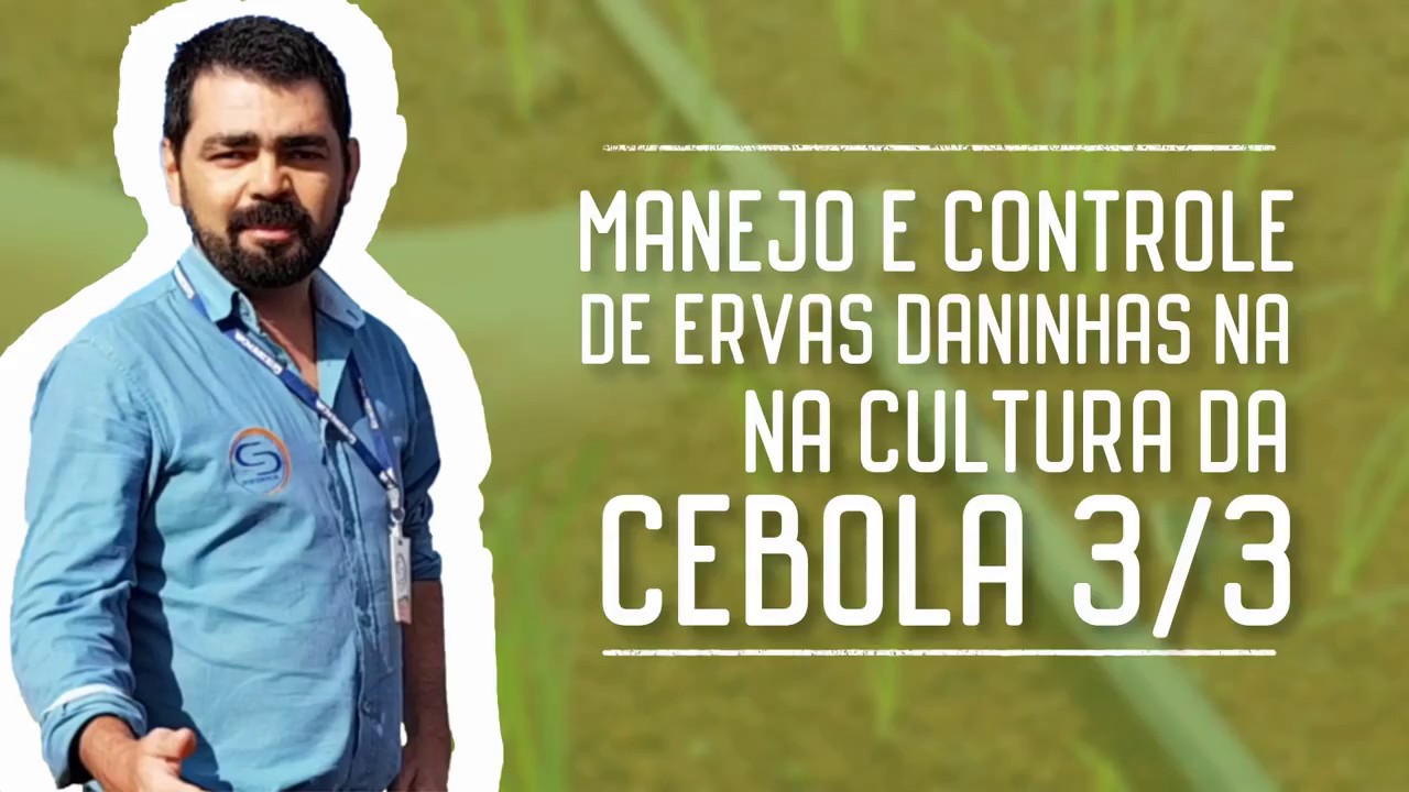 Manejo de ervas daninhas na cultura da cebola 3/3