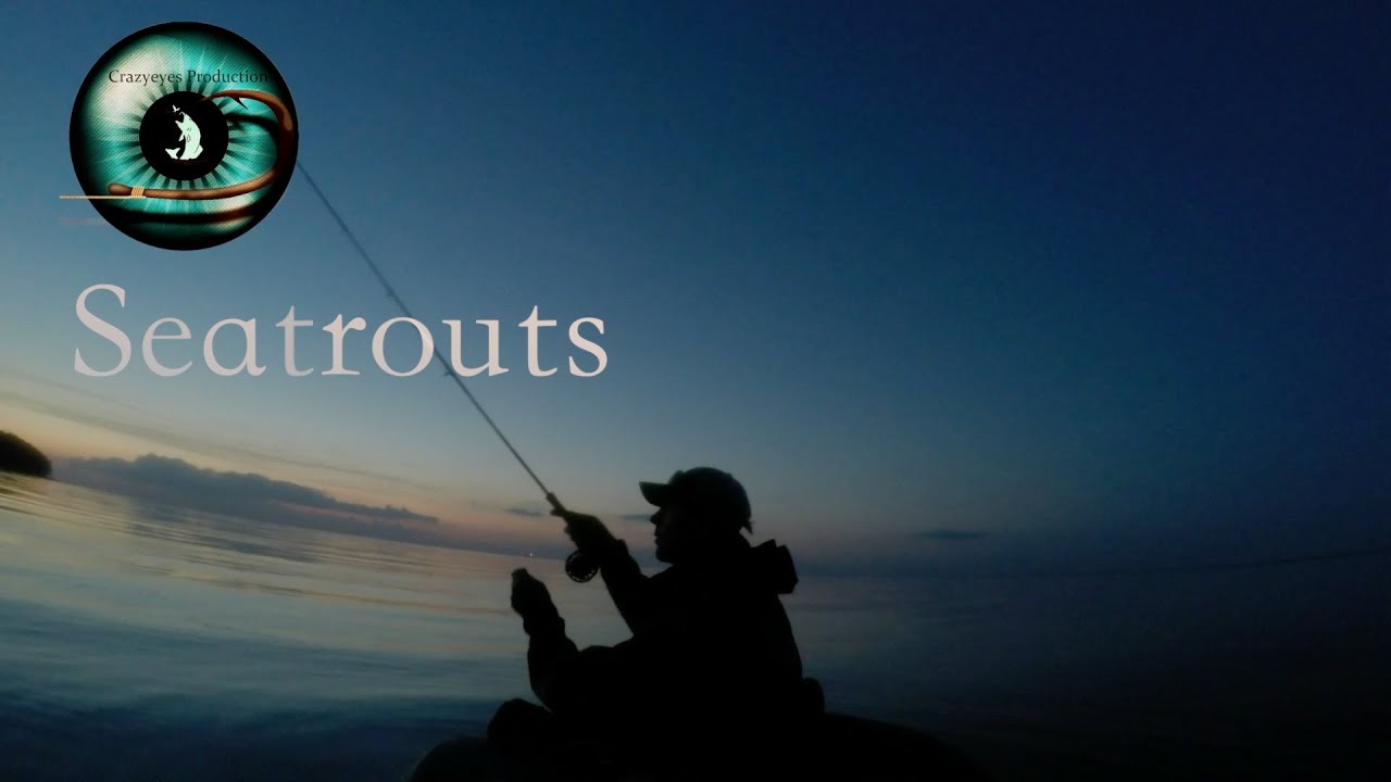 Flyfishing from bellyboat: Seatrouts from Denmark