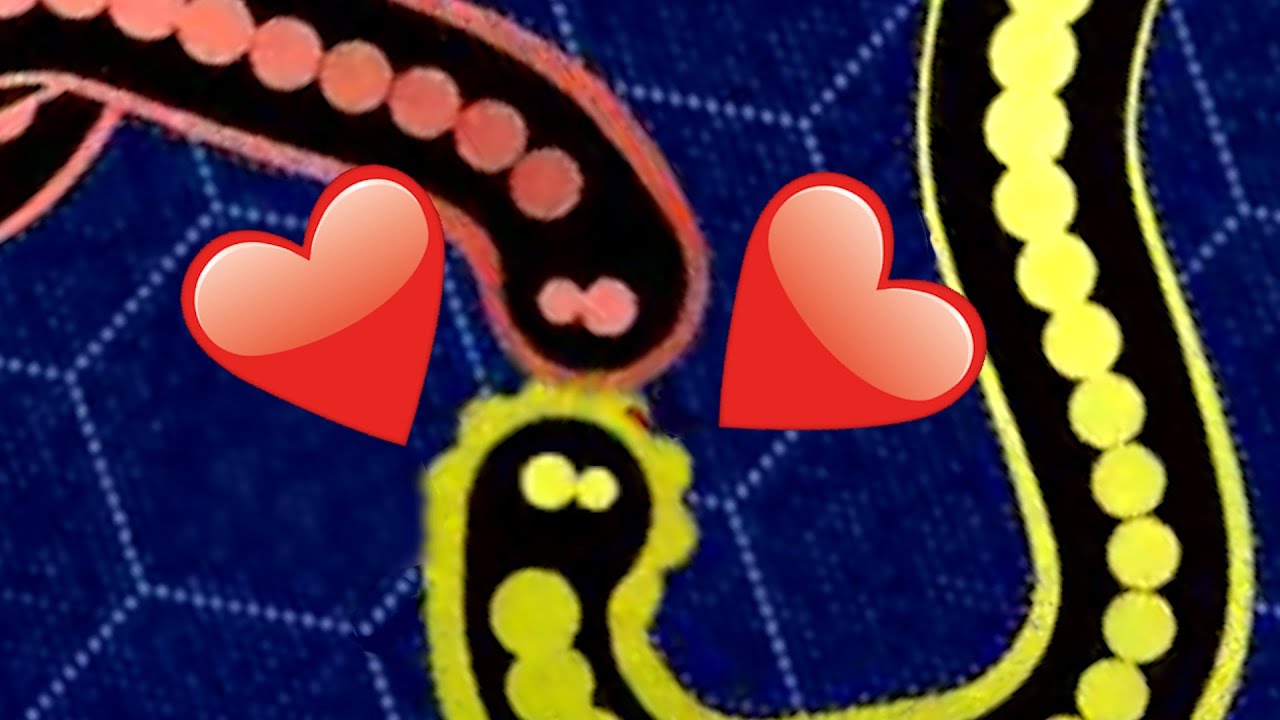 🐍Extraordinary Gulping🐍 | Gulper.io