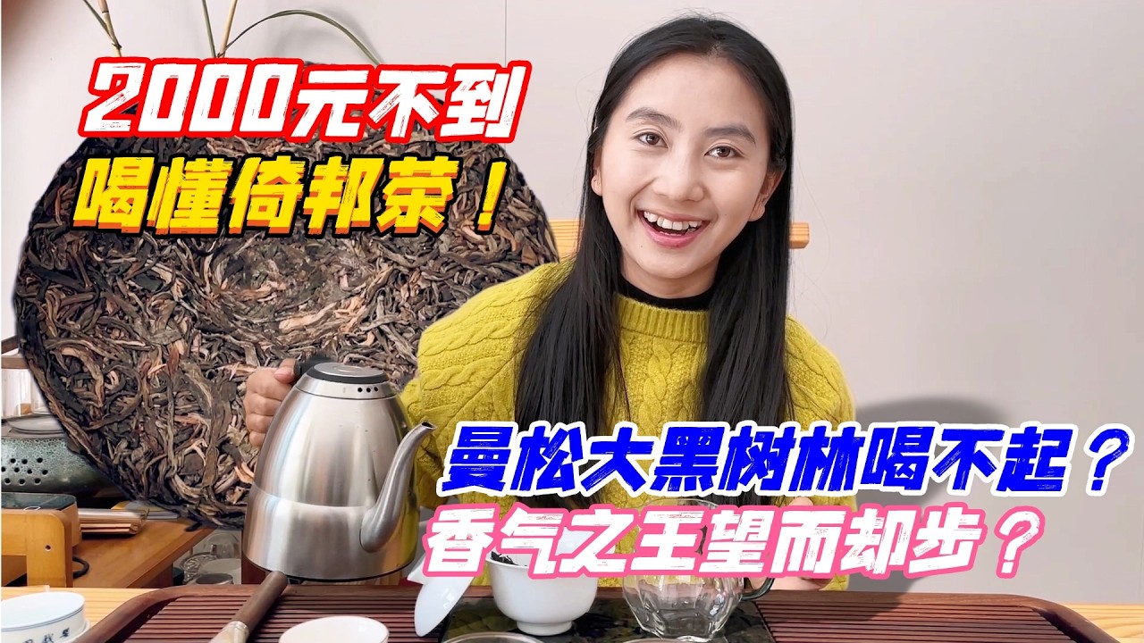 曼鬆大黑樹林喝不起？香氣之王望而卻步？2000元不到喝懂倚邦茶！購普洱茶請加微信WeChat或Line：QLDC2003#茶 #茶叶 #普洱茶 #古树茶#老班章 #tea #喝茶 #茶葉 #古樹茶