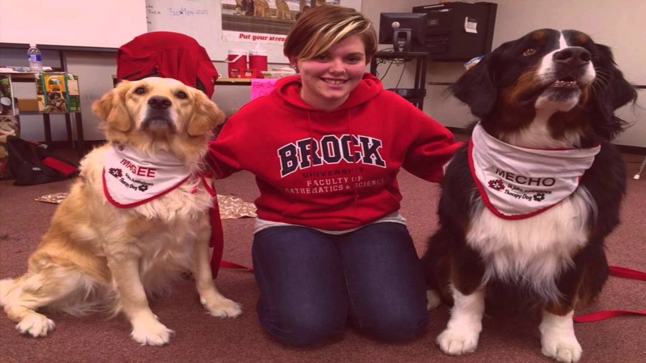 Brock University Peer Health Educators and Mental Health