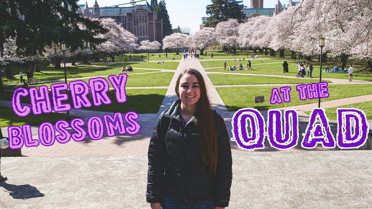 Walk-around Tour At The Quad
