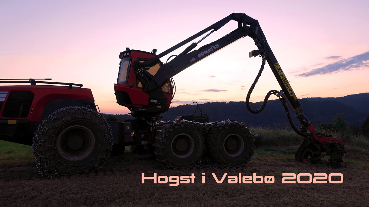Hogst i Valebø 2020