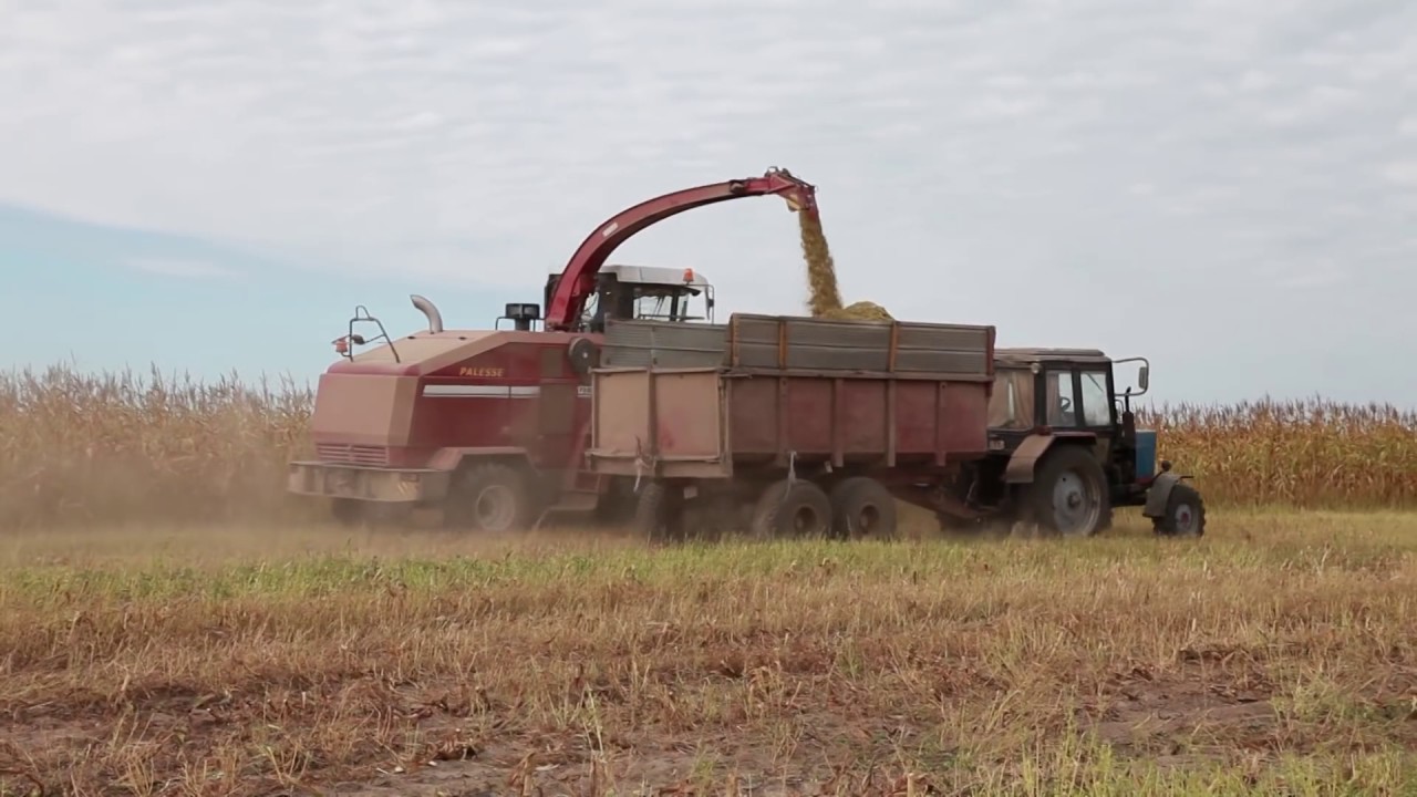High-producing forage harvesting complex PALESSE FS80 &ndash; harvesting master