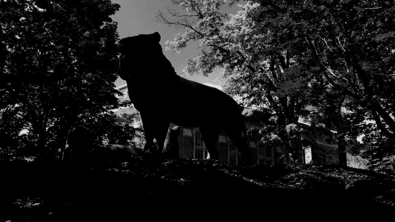 These Shallow Graves Trailer