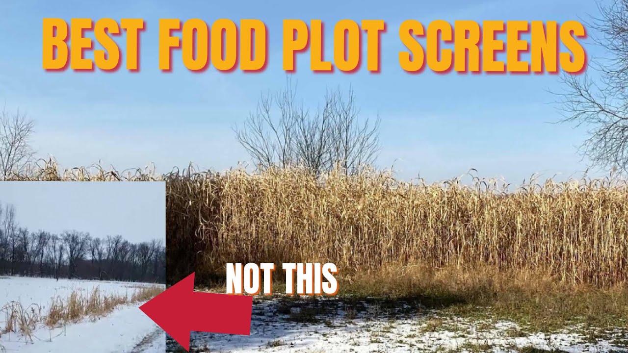 BEST FOOD PLOT SCREEN OPTIONS