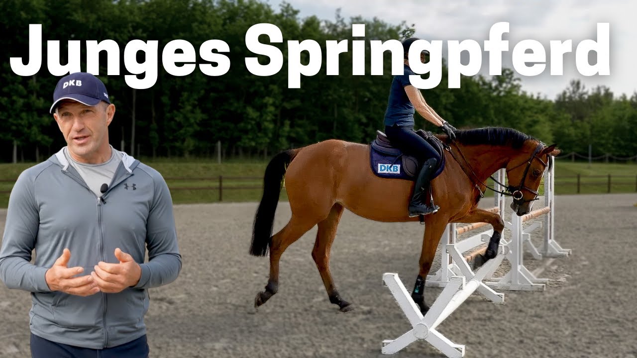 Die erste Schritte zum Springpferd | Holger Wulschners Jungpferdeausbildung 🐎