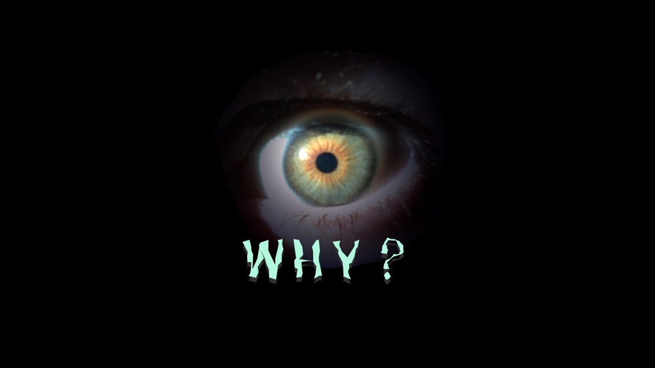 Why? - Adam Sharp