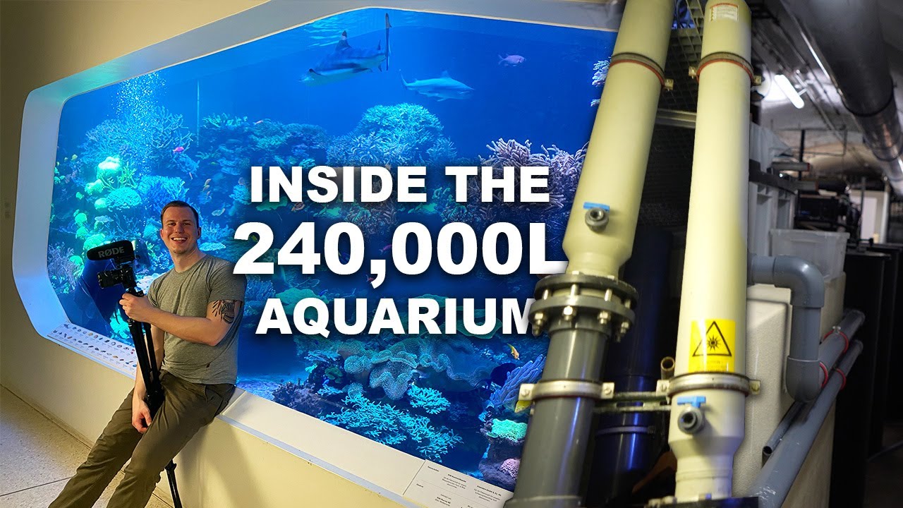 What do I need for a 240,000 LITER REEF TANK?! - XXL Skimmers + LEDs + Filter...