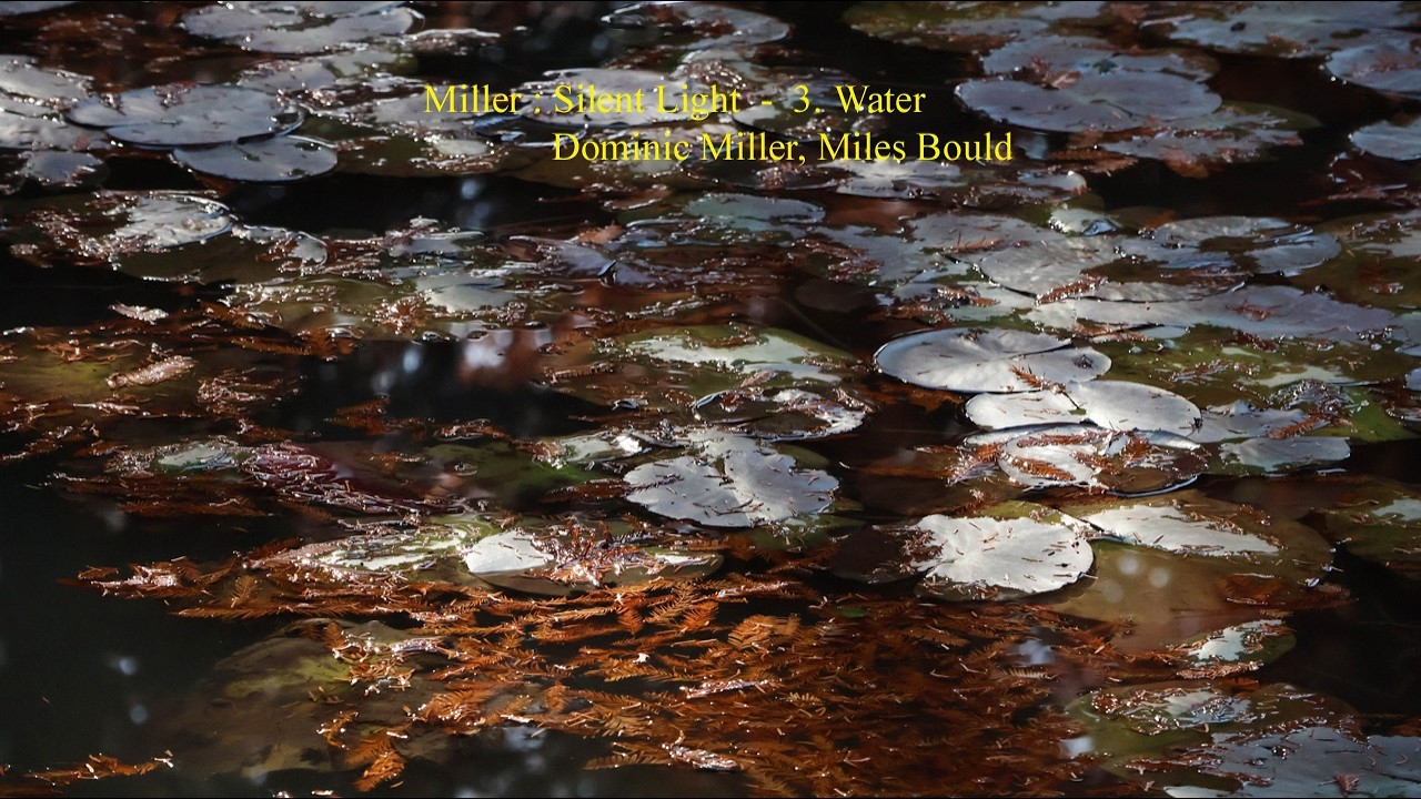 Miller : Silent Light - 3. Water
