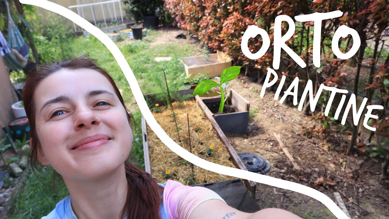 PIANTINE e ORTO🌱GiardiniAMO