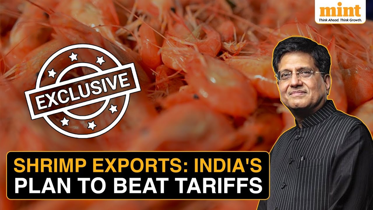 'Indian Shrimp Exports Will Only Grow&rsquo;: Piyush Goyal Says Russia To Clear 25 Indian Fisheries Soon