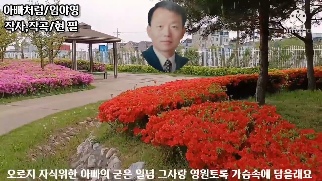 아빠처럼,임야영(폰녹음)   작사,곡/현필(현익수)