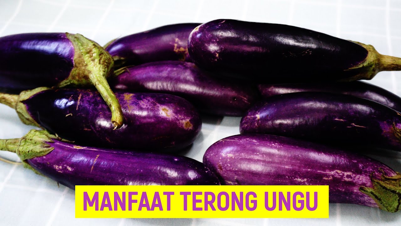Terong Ungu, Inilah 7 Manfaatnya untuk kesehatan