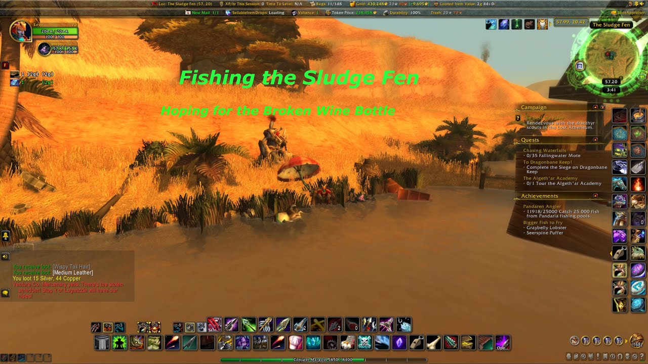 WOW Fishing for Broken Wine Bottle