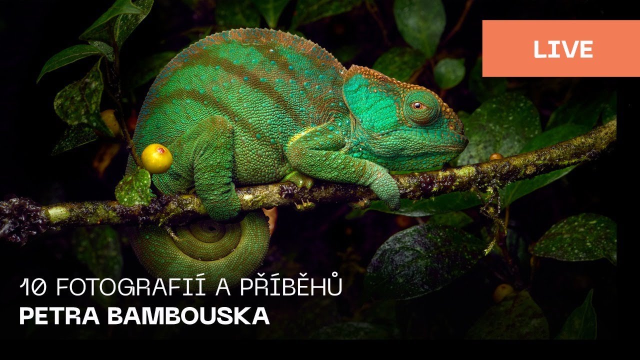Czech | 10 fotografií a příběhů Petra Bambouska