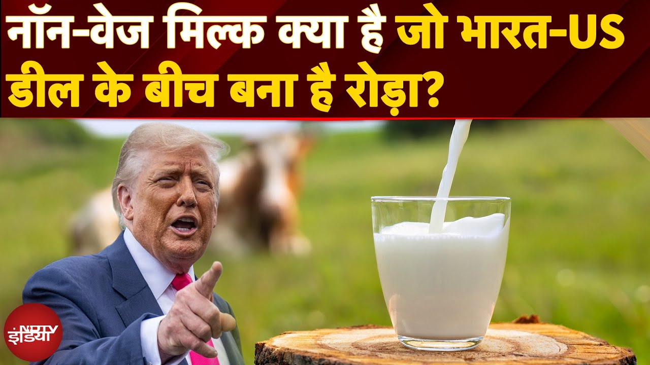 क्या होता है Non-Veg Milk? | भारत ने क्यों खींची 'Red Line'? | India-US Trade Deal Explained