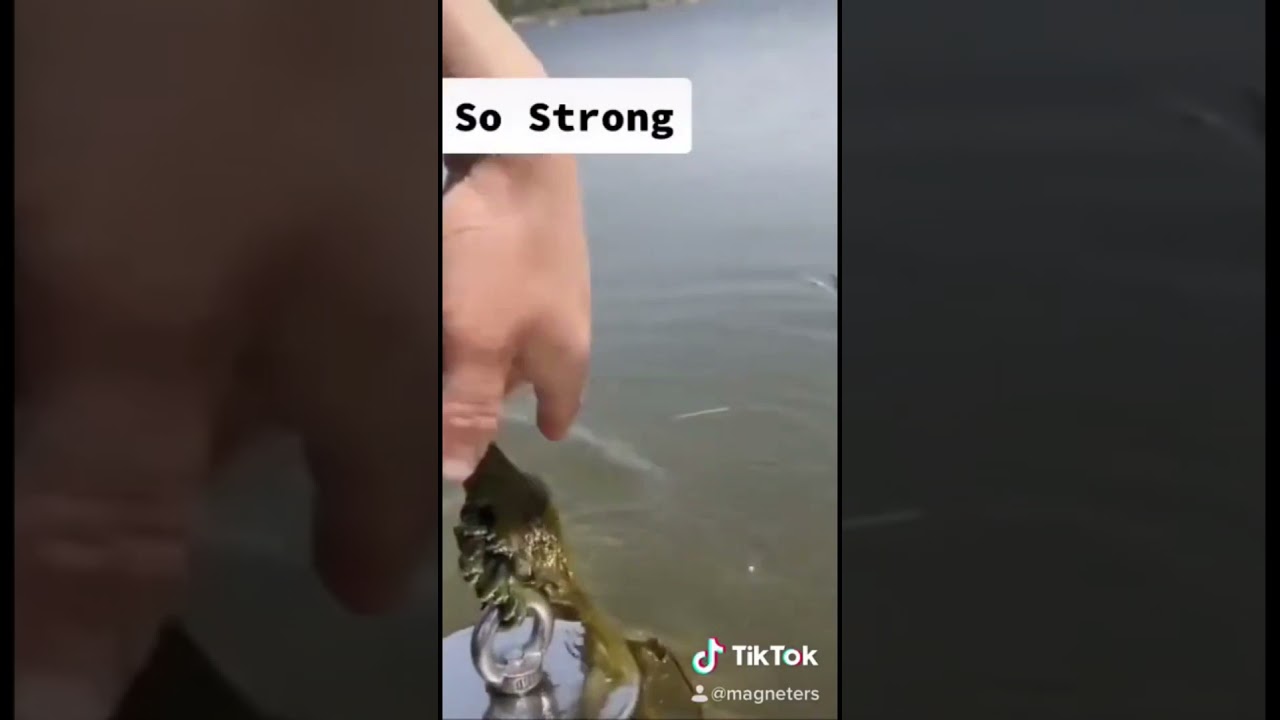Magnet Fishing With The Most Powerful Magnet EVER Made - Unbelievable What I Found #33