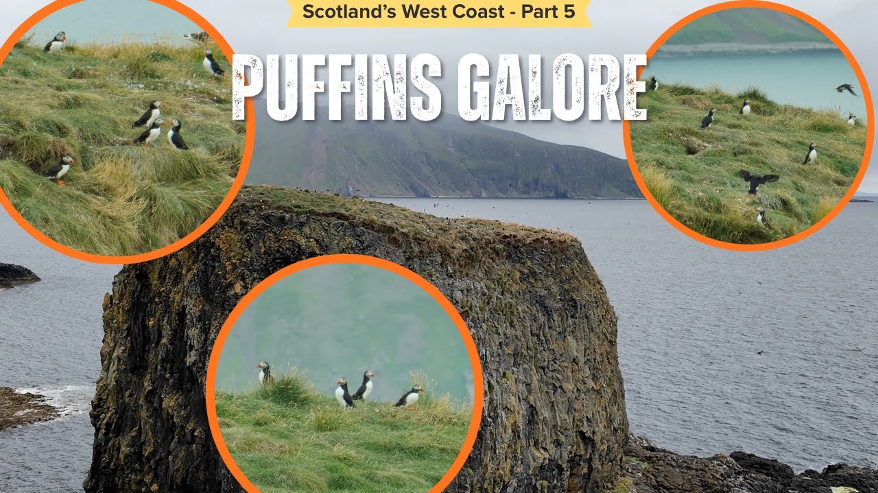 The Puffins of Scotland's Small Isles | Ep. 193