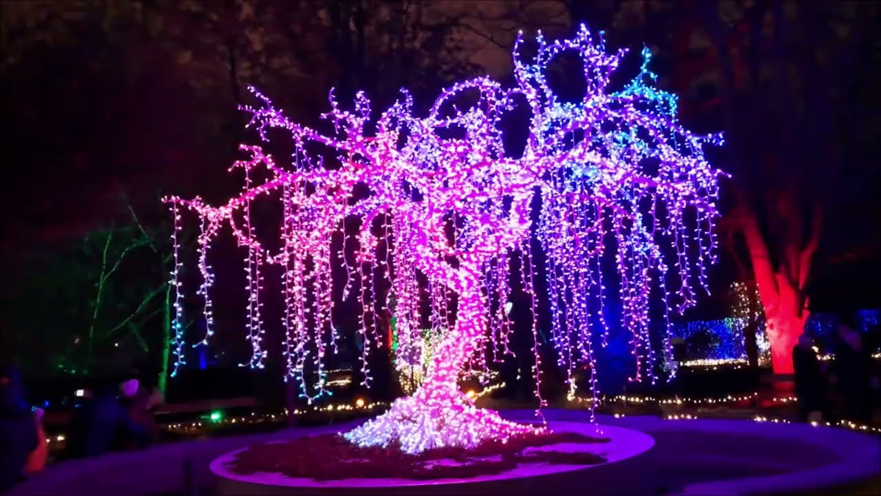 Magiczny Botaniczny  - Warszawa 2025