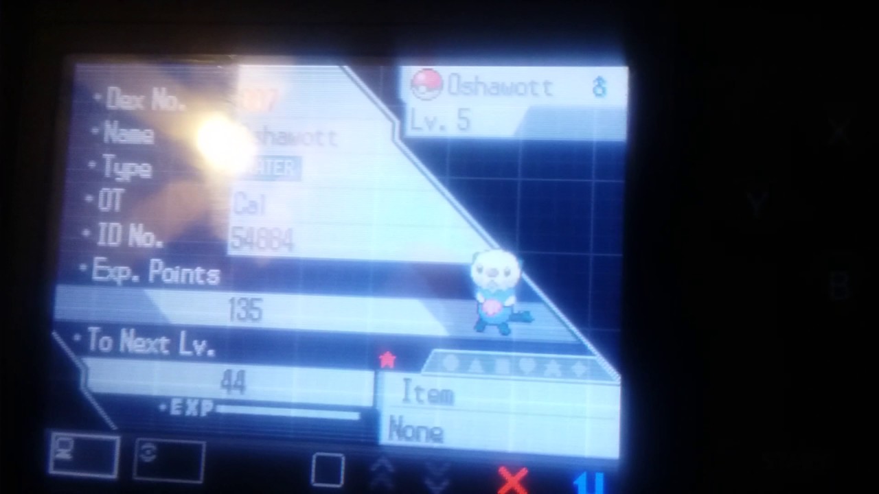 SHINY Oshawott, approx. 4050 SR's, 1/8192 odds!!!
