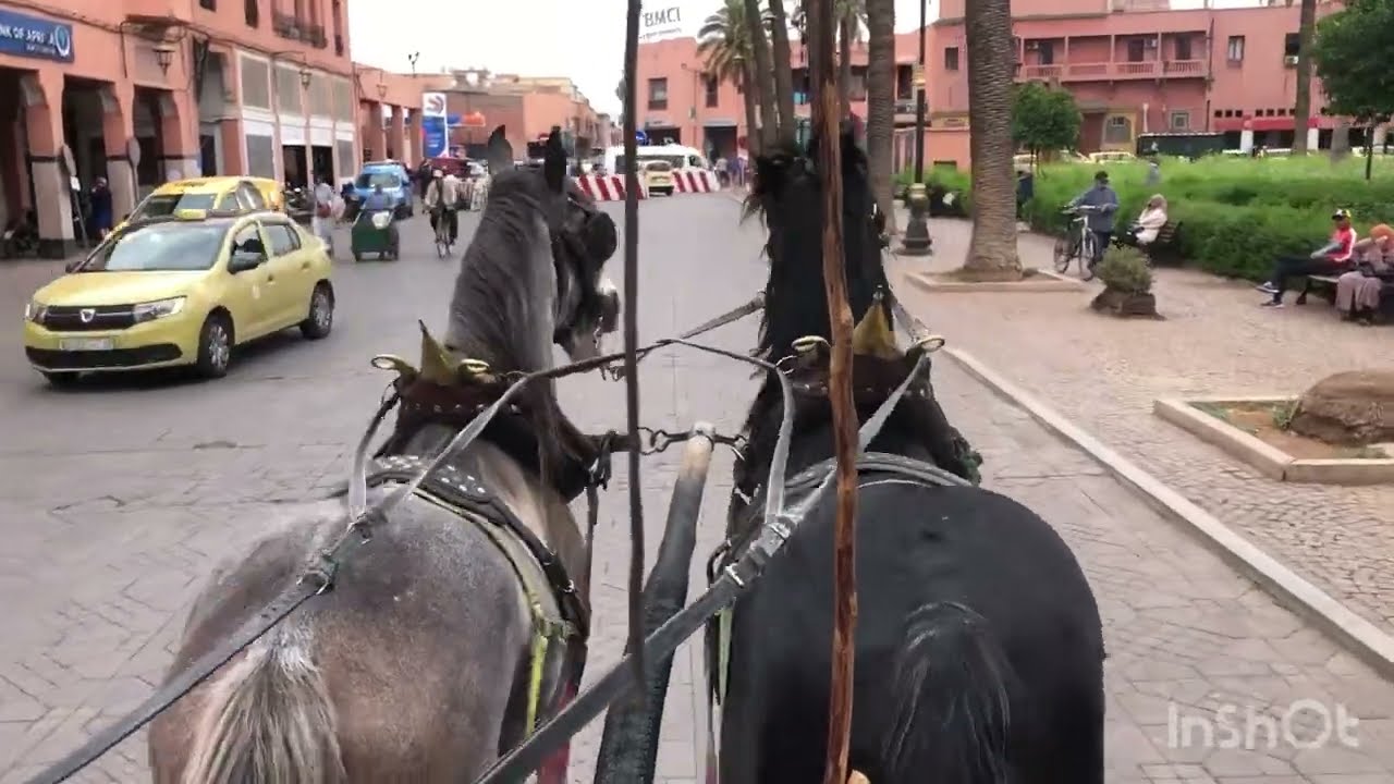 Balade Découverte de Marrakech en Calèche