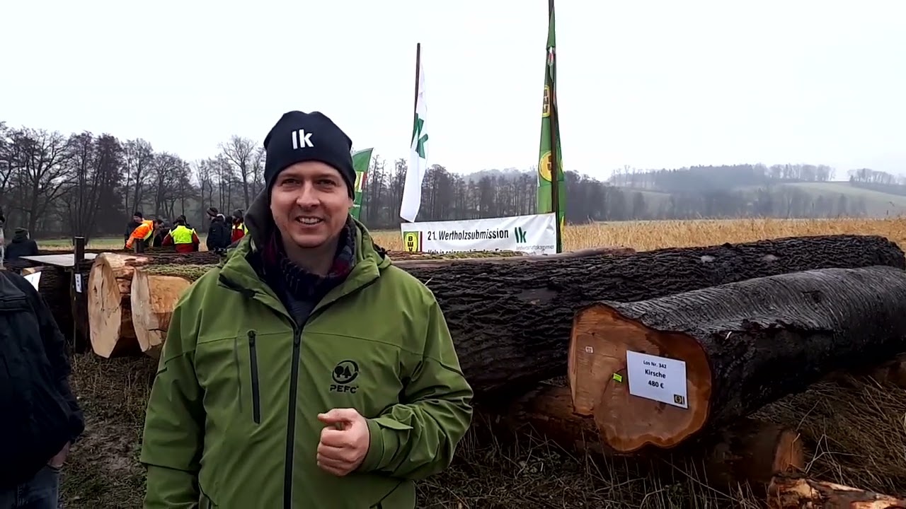 Wertvolles Laubholz an einem Ort