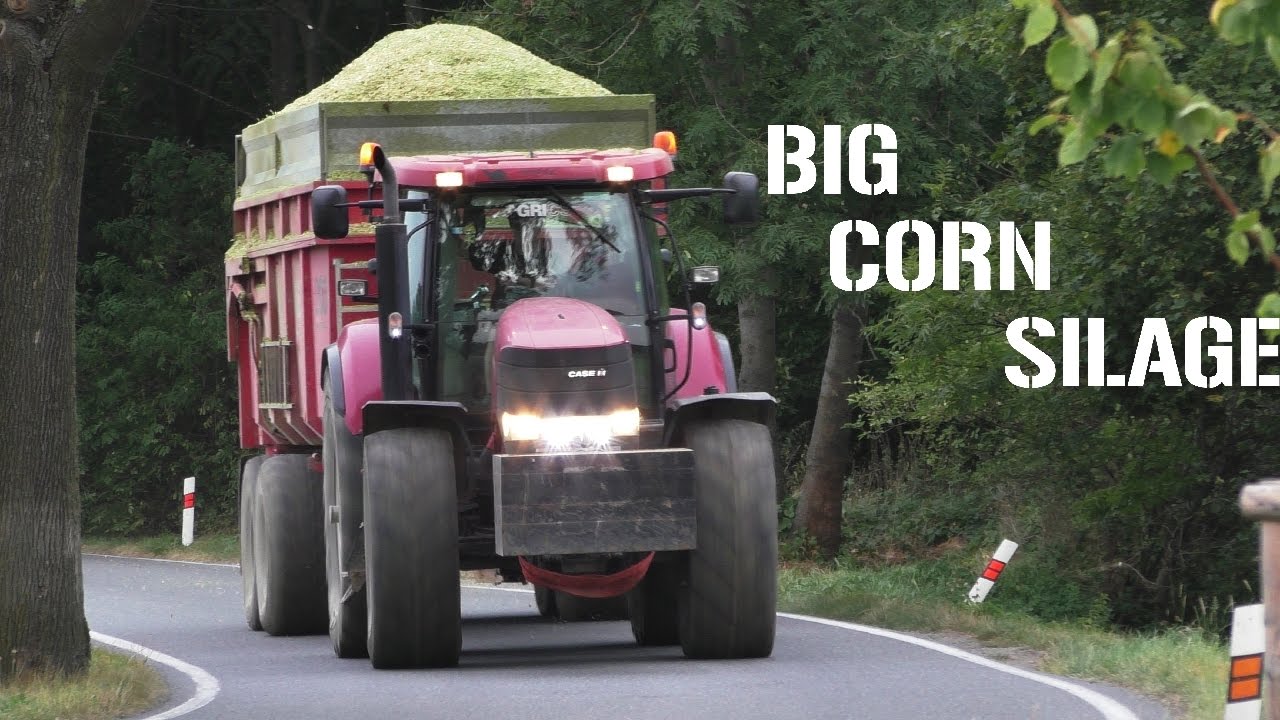 BIG CORN SILAGE | Tractors in action | Claas Jaguar 950 | Case IH | New Holland | Agriculture