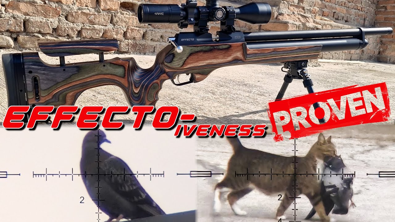 Effecto PX-5 Sport &mdash; обзор и тесты на вредителей для стрельбы