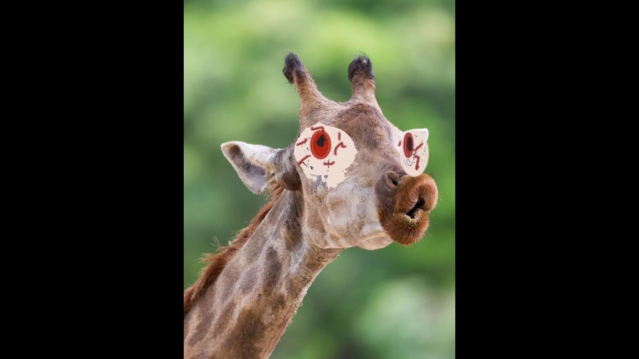 Animals Gone INSANE 🦒 Roblox; Testing (C)🦒
