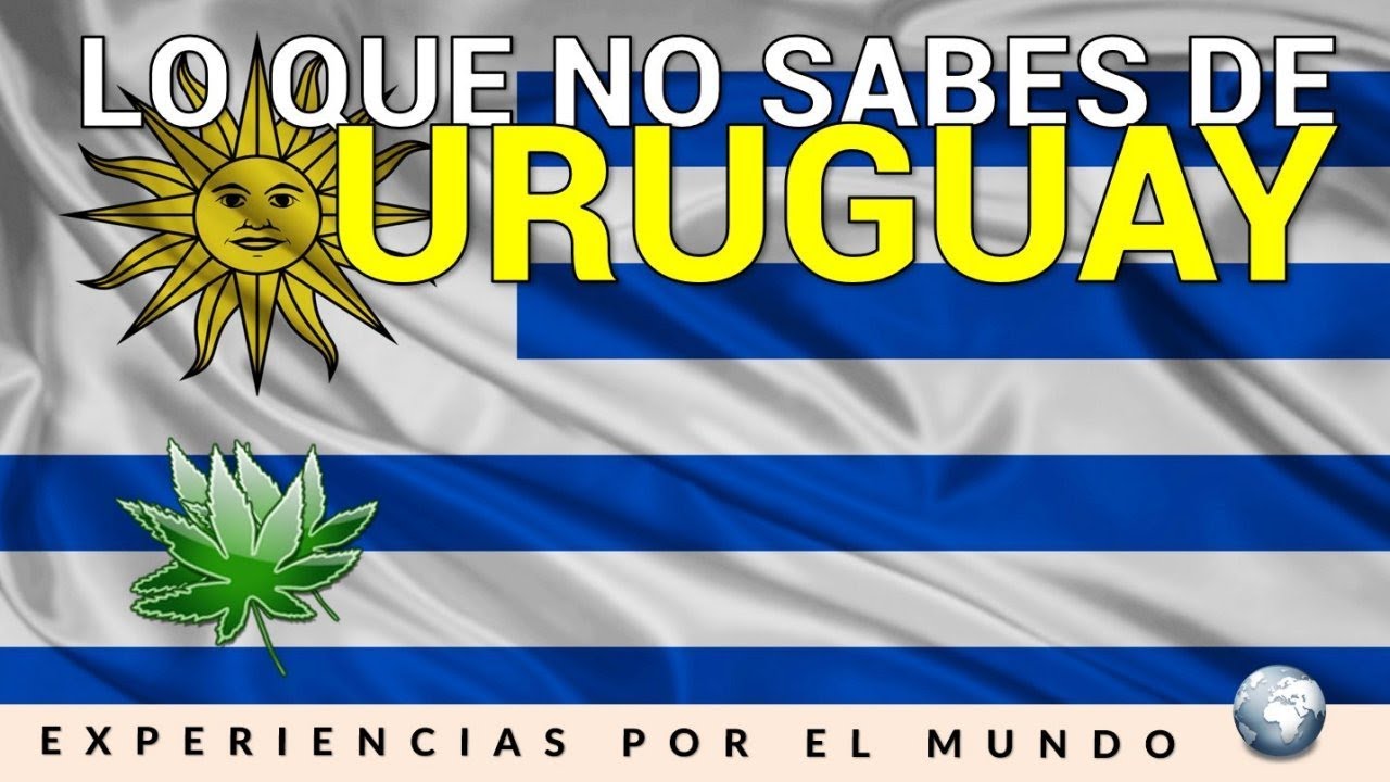 Barrios de alto riesgo en Uruguay: Violencia en Montevideo (Borro, Marconi, Casavalle)