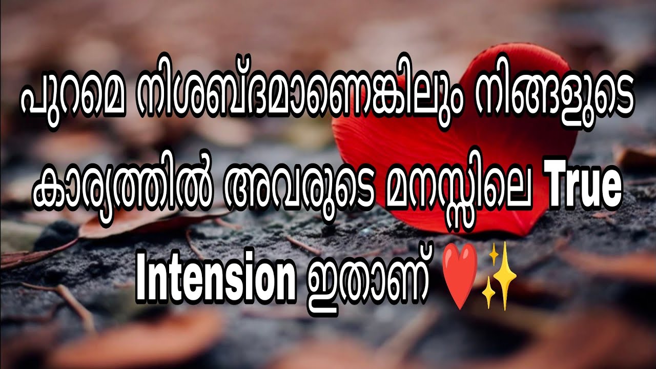 നിങ്ങൾ പോലും അറിയാതെ ചില കാര്യങ്ങൾ അവർ നിങ്ങൾക്കു വേണ്ടി Plan ചെയ്യുന്നുണ്ട് ❤️✨