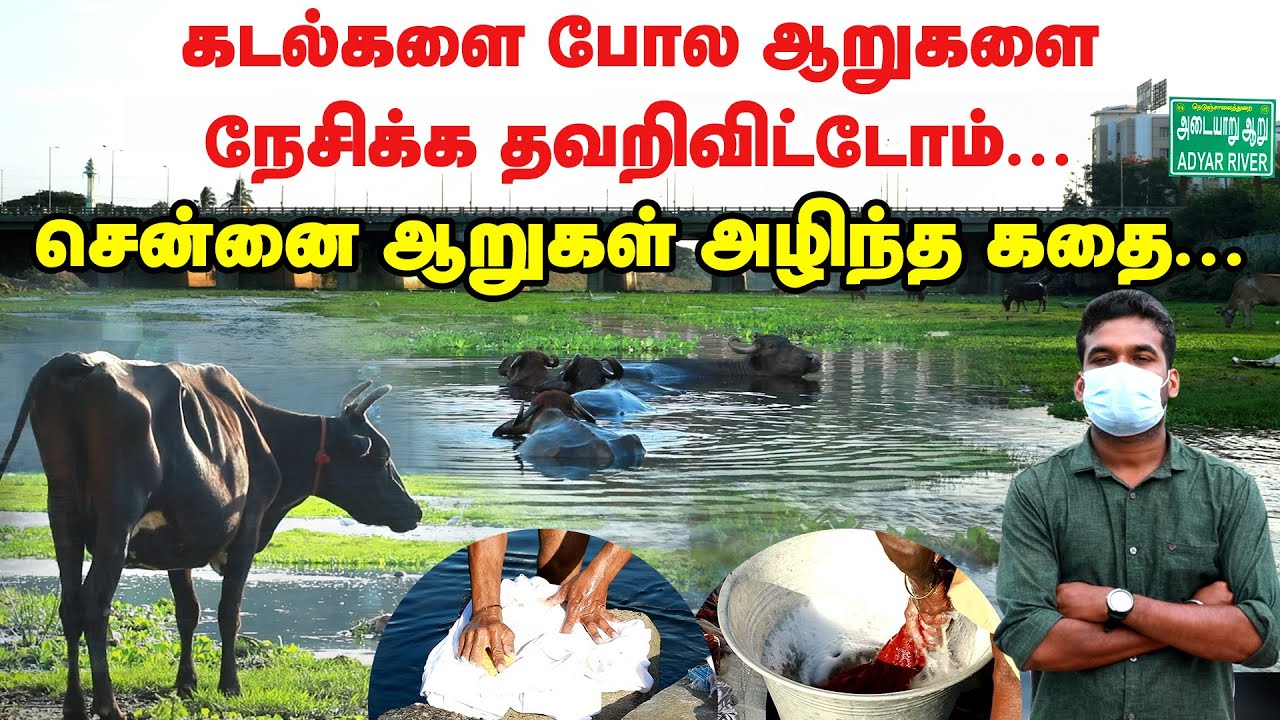 Adyar River Chennai | Unknown Facts | Cooum River History