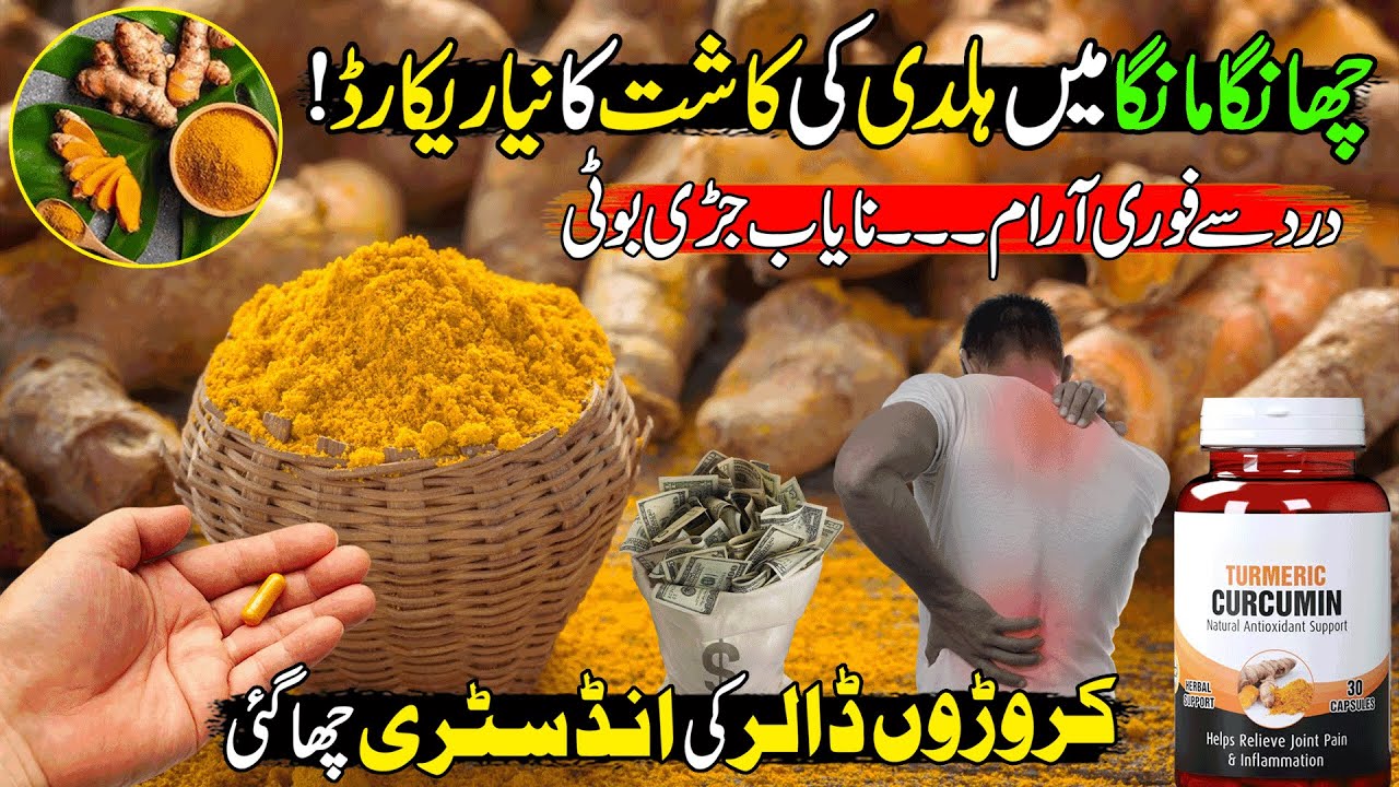 Turmeric (Haldi) Farming In Pakistan | World's New Billion Dollar Super Industry | Discover Pakistan
