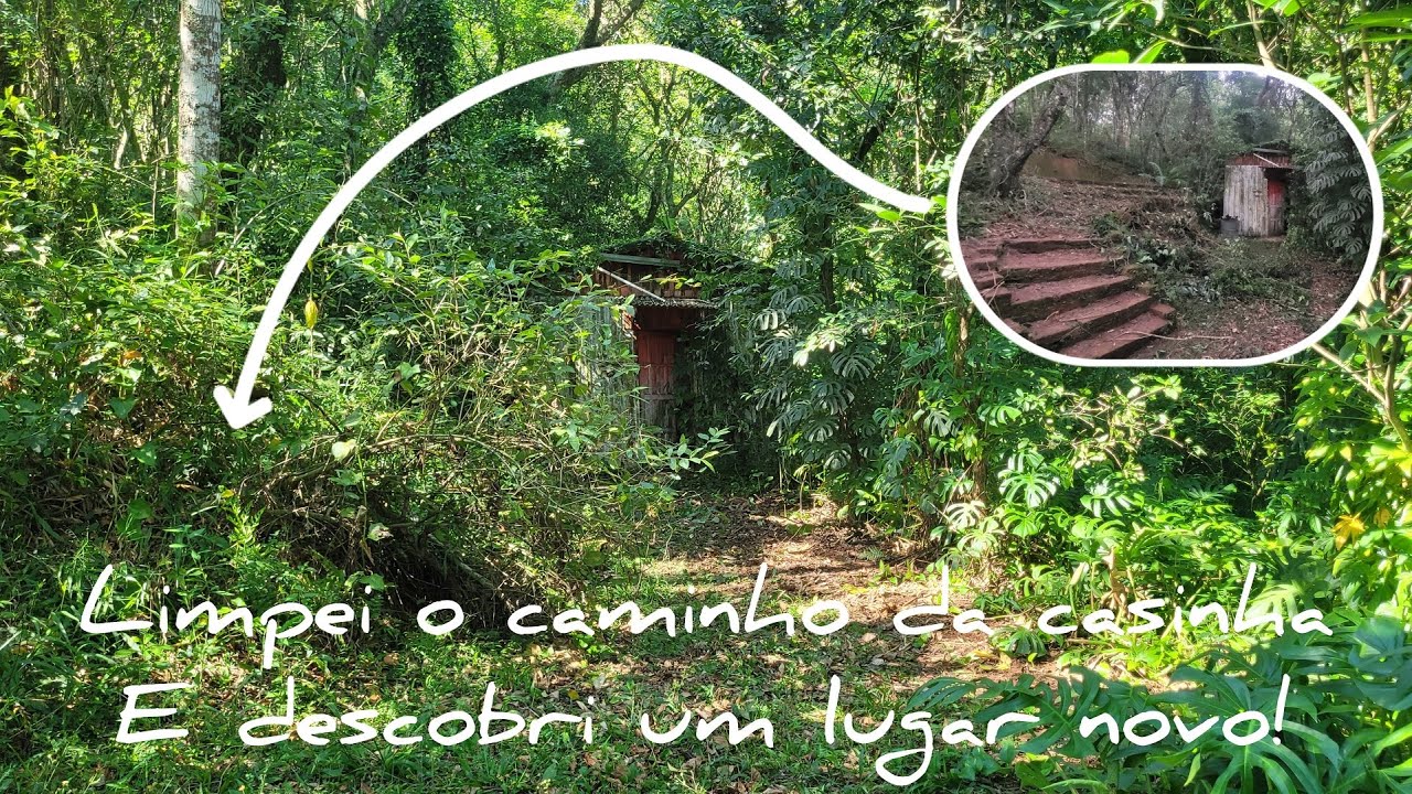 Limpei o caminho até A CASINHA ABANDONADA, e descobri um LUGAR SECRETO!