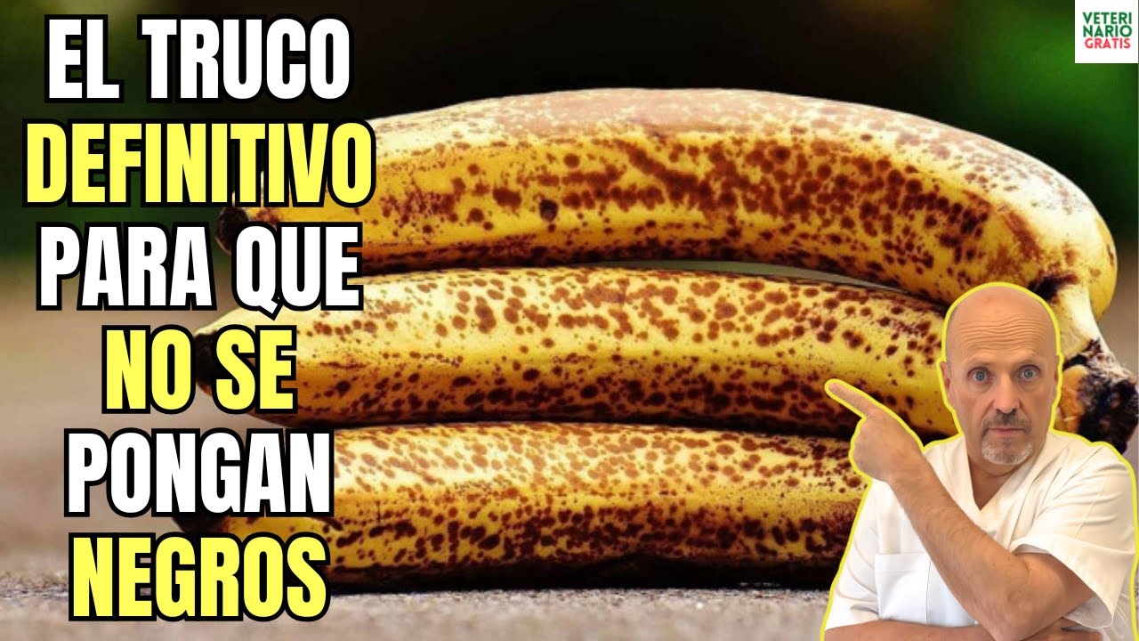 ✅ ¿COMO CONSERVAR LOS PLATANOS DURANTE MAS TIEMPO SIN QUE SE PONGAN NEGROS CON ESTE TRUCO? ✅