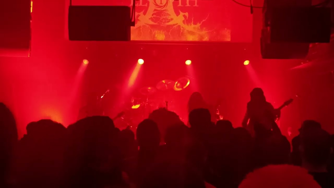 Lloth- Angel Wings