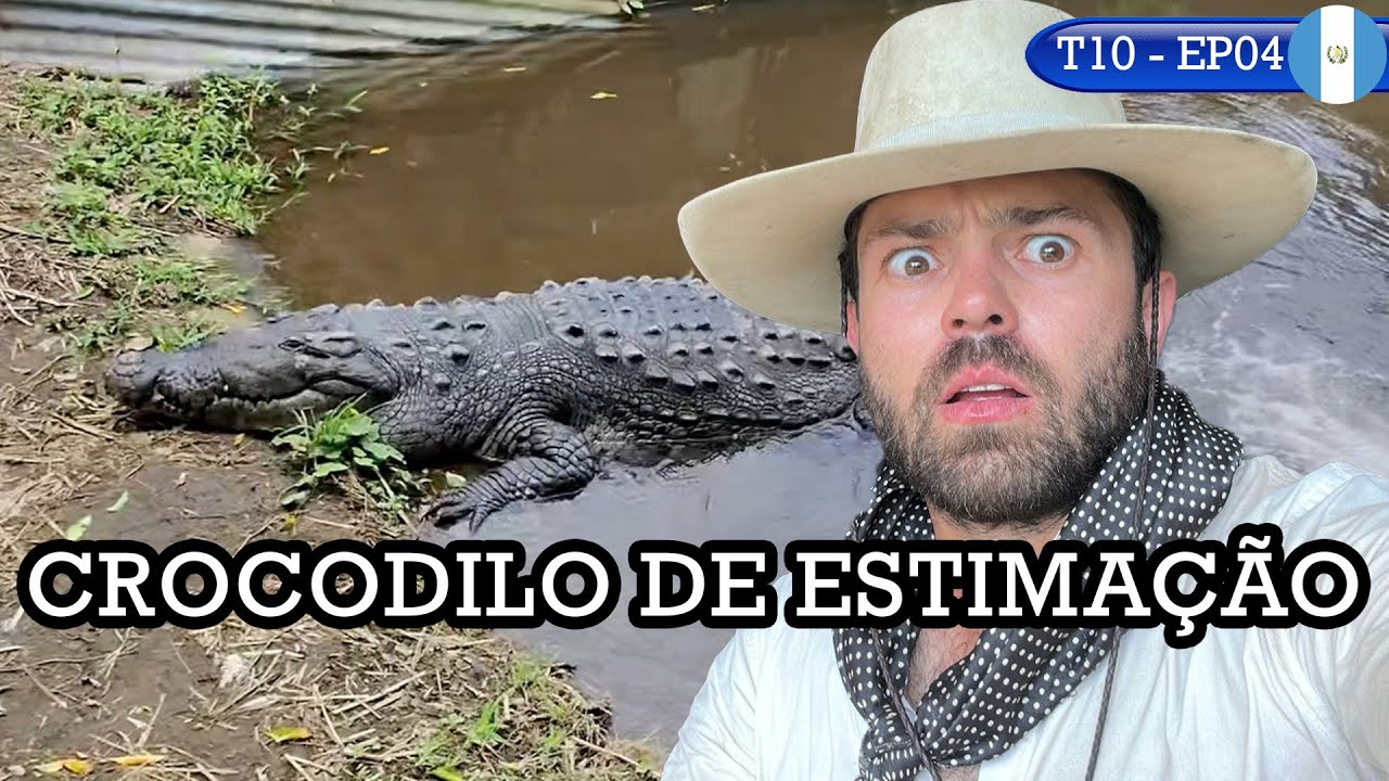 ELE TEM CROCODILO DE ESTIMAÇÃO