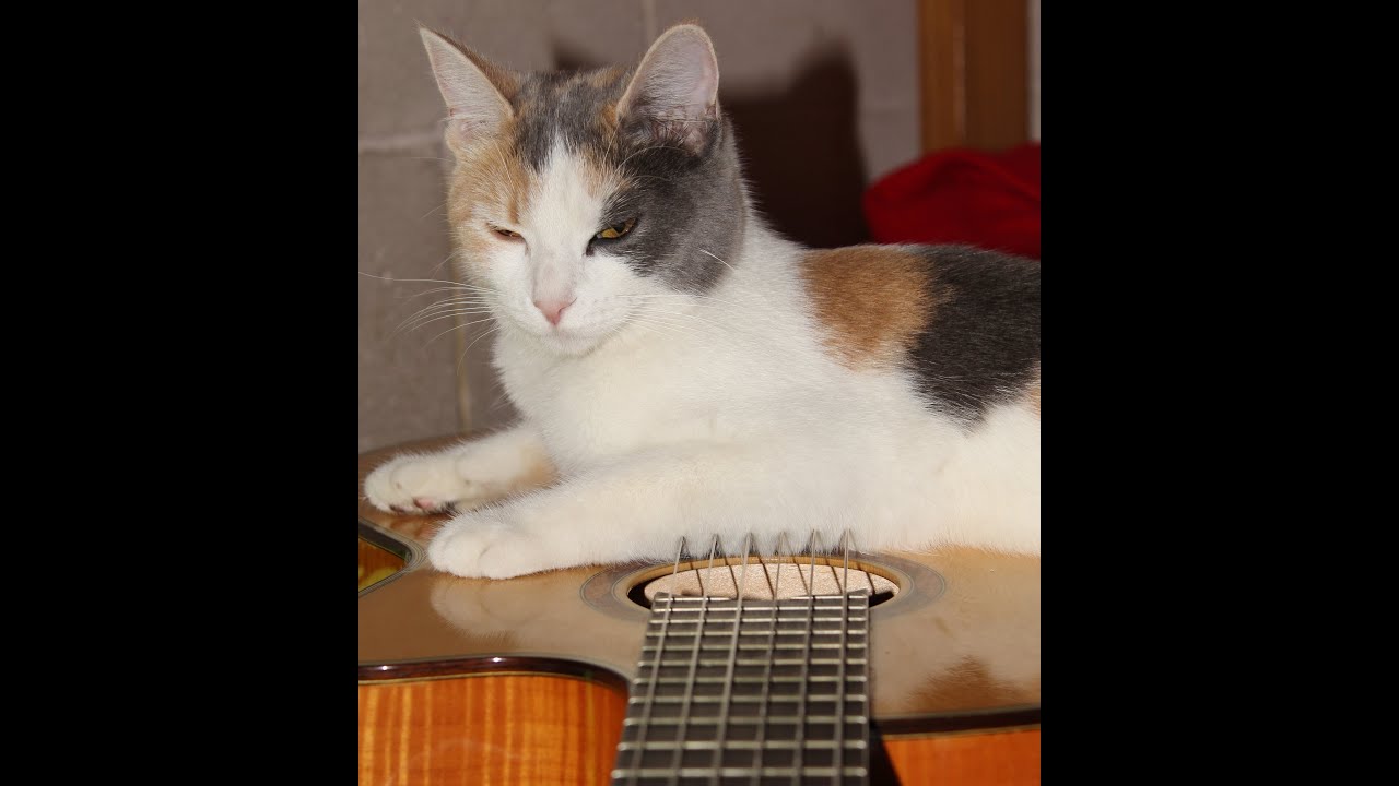 Cómo tocar en guitarra la 