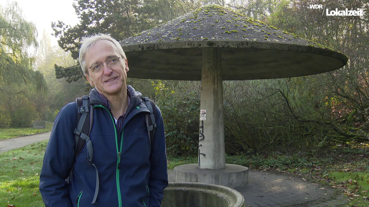 Wetterpilze in der WDR Lokalzeit 2020