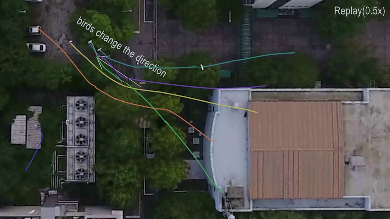 Robotic Herding of a Flock of Birds Using Drones