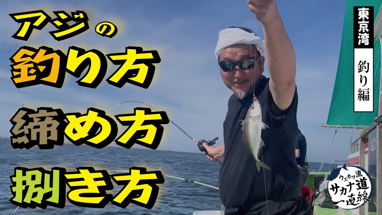 【東京湾 釣り編】東京湾で釣ったアジとタチウオで晩ご飯！釣り方 締め方 捌き方