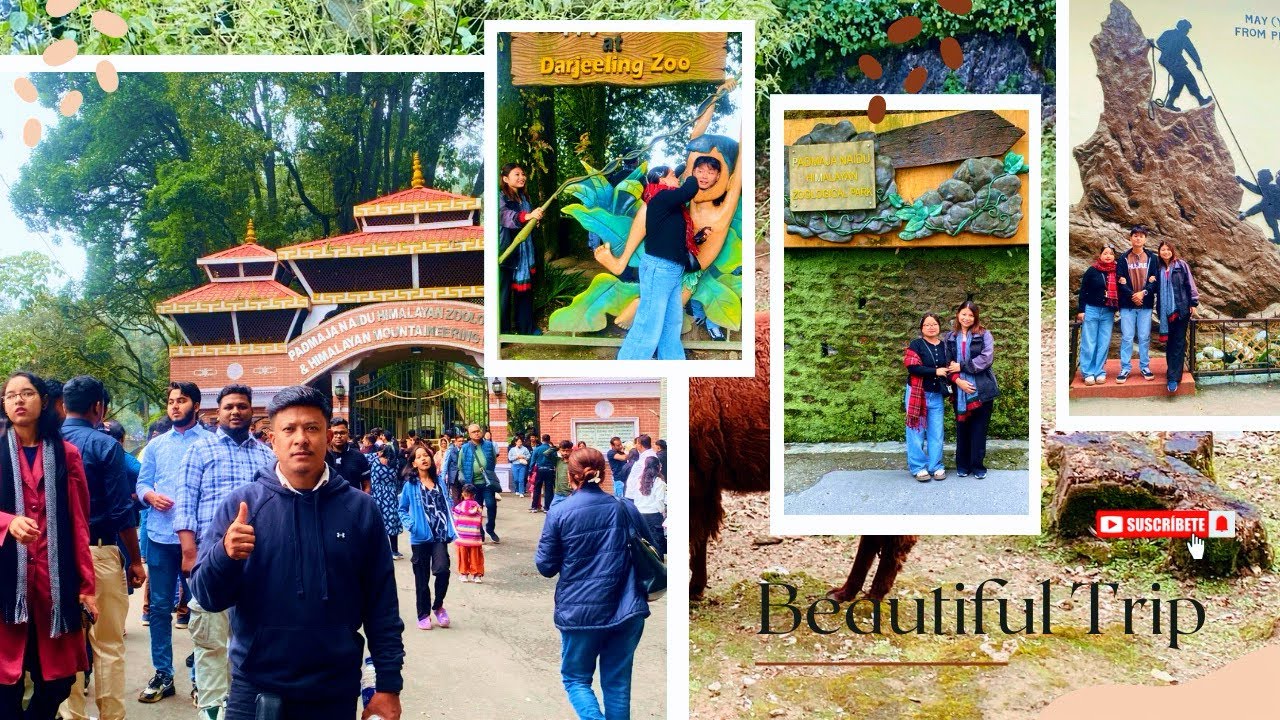 DARJEELIN ZOO VLOG||Exploring Darjeeling Zoo | Rare Animals, Fun & Memories 🐒🎥	