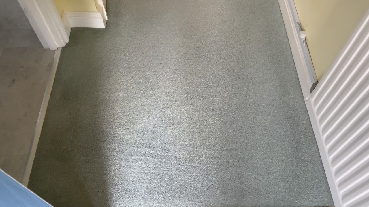 Removing a stain from a wool carpet